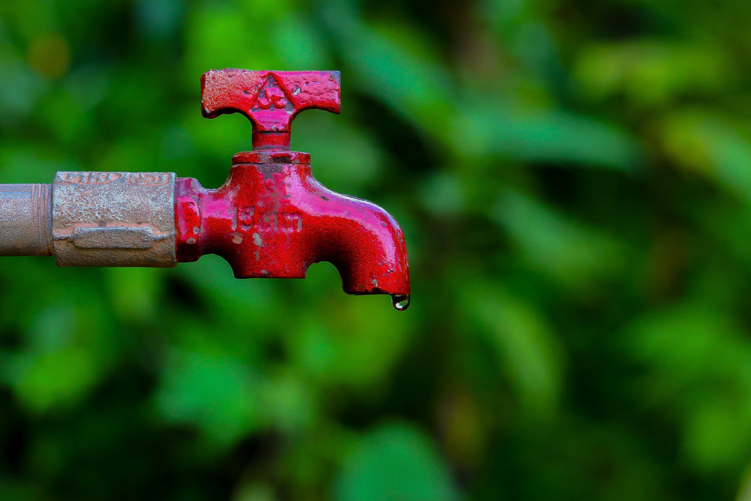 Regenwassernutzung für Haus und Garten