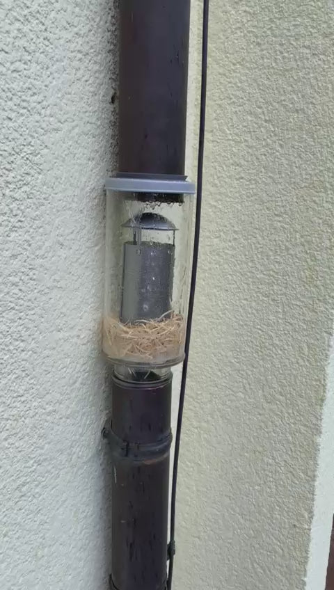 Premium-Fallrohrfilter mit Edelstahlfiltersieb
